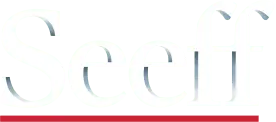 Seeff Mozambique Logo